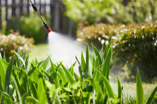 24/7 Emergency Termite Control experts in White Salmon, WA