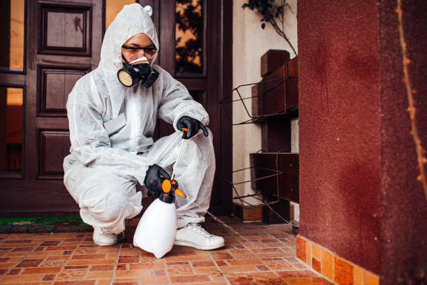 Reliable Termite Control contractor in White Salmon, WA by Nex Pest Control