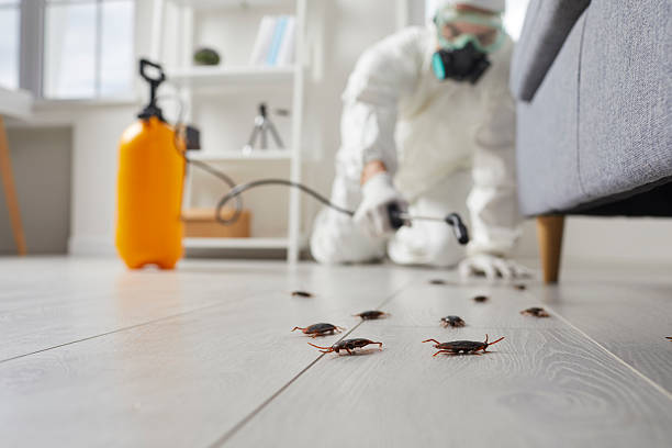 Trusted Fumigation Services service in White Salmon, WA - Nex Pest Control