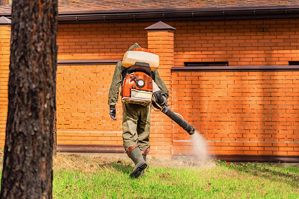 Trusted Bed Bug Control service in White Salmon, WA - Nex Pest Control
